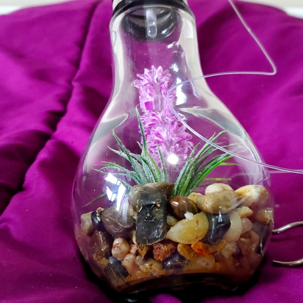 Light up Terrarium - Picture 2 of 3